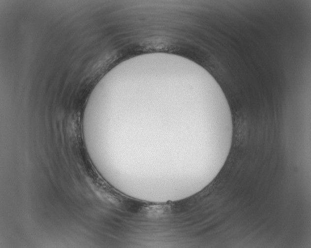 X0000076380126200611031639