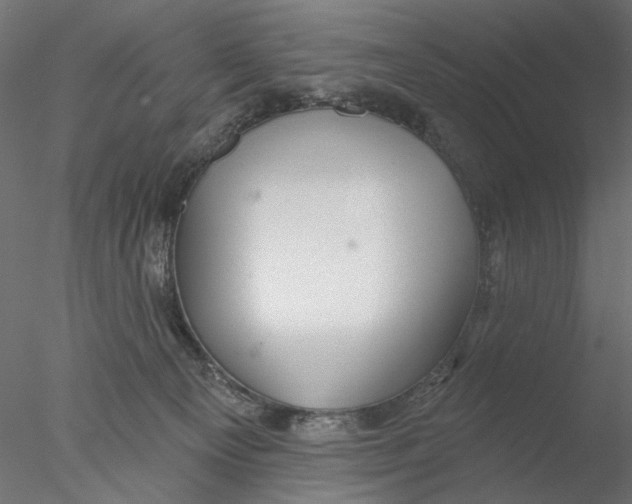 X0000076380129200611031639