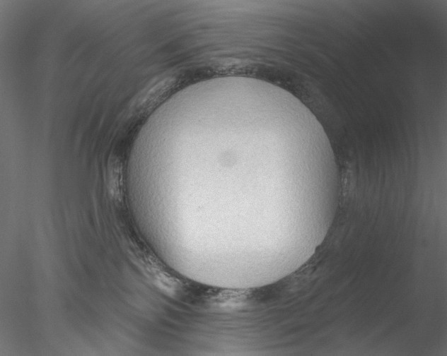 X0000076380138200611031639