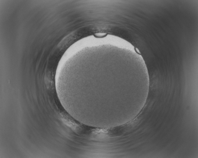 X0000076380140200611031639