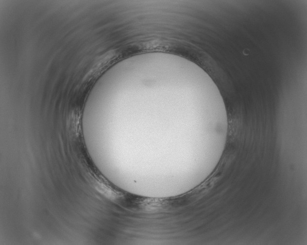 X0000076380142200611031639