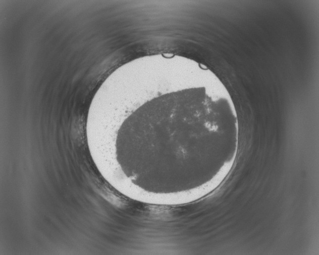 X0000076380144200611031639