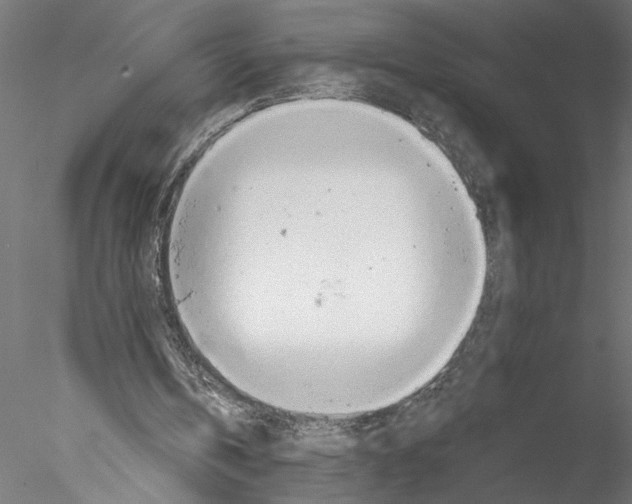 X0000076380146200611031638