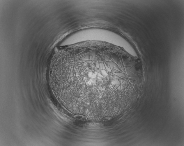 X0000076380154200611031638