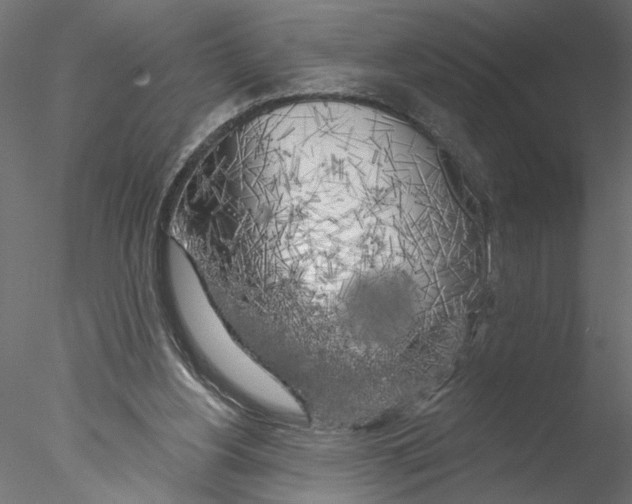 X0000076380156200611031638