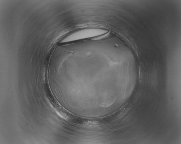 X0000076380157200611031638