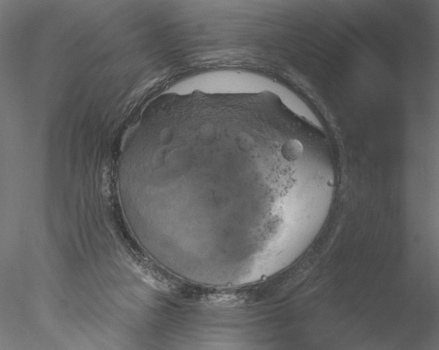 X0000076380161200611031638