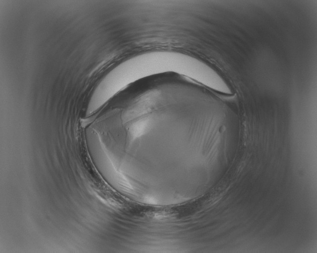 X0000076380165200611031638