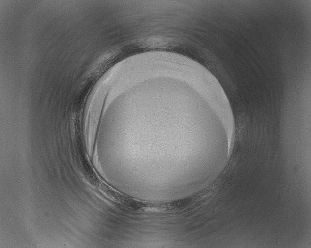 X0000076380167200611031638