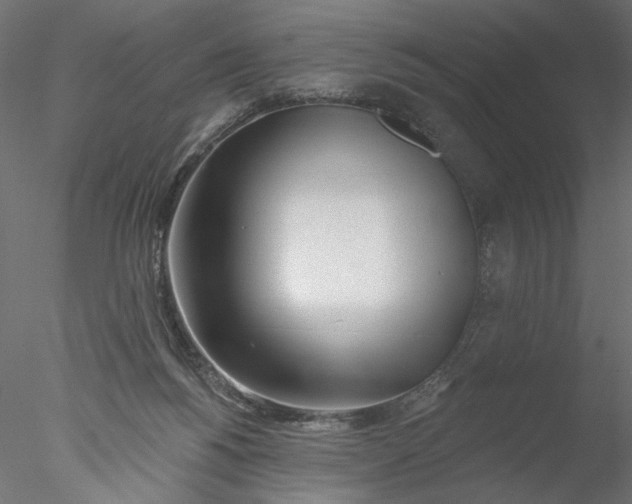 X0000076380168200611031638