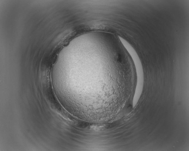 X0000076380172200611031639