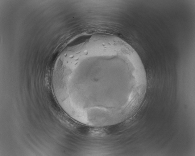 X0000076380175200611031639