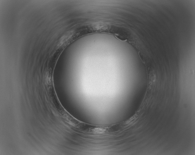 X0000076380176200611031639