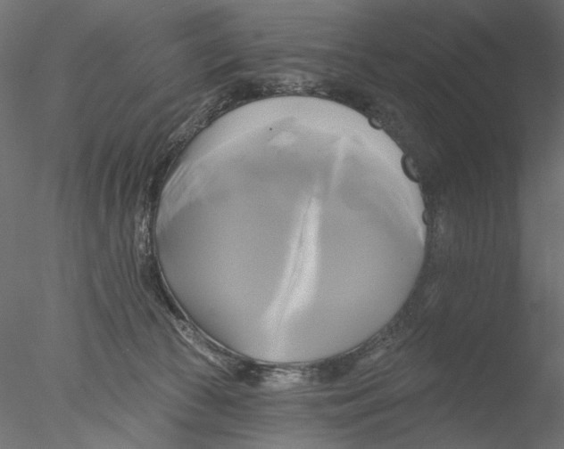 X0000076380177200611031639