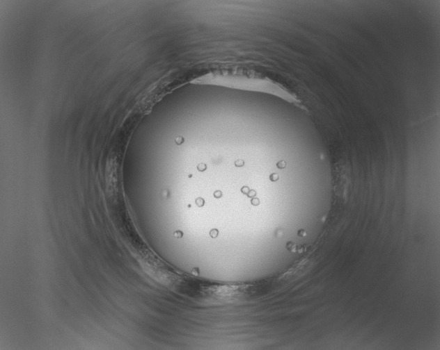 X0000076380184200611031639