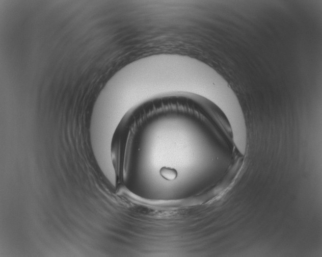 X0000076380186200611031639