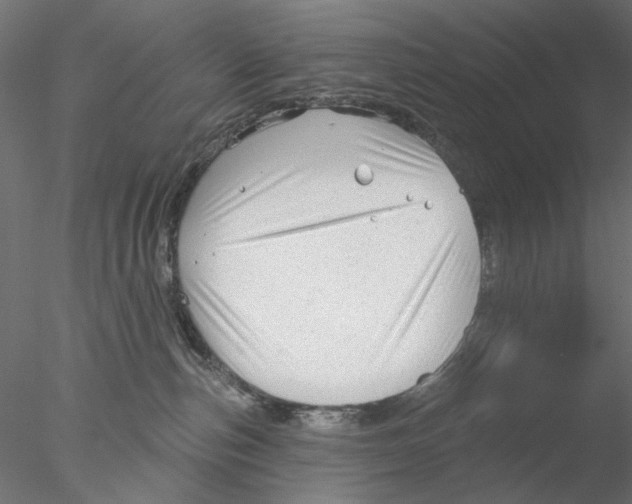 X0000076380187200611031639