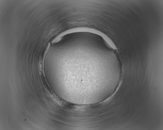 X0000076380190200611031639