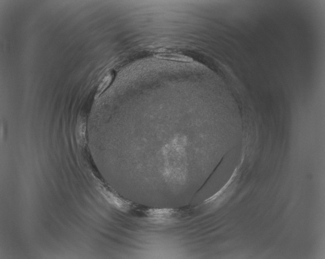 X0000076380192200611031639