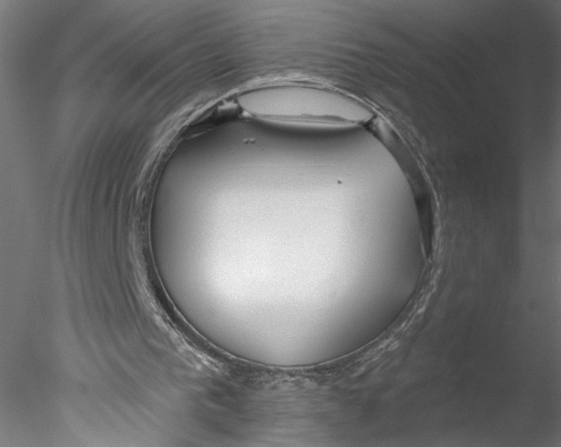 X0000076380193200611031638