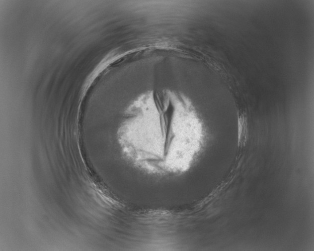 X0000076380195200611031638