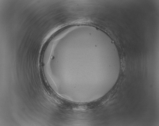 X0000076380196200611031638