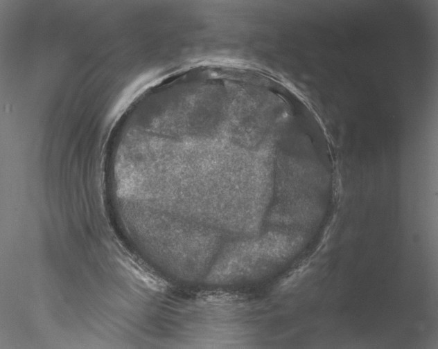 X0000076380199200611031638