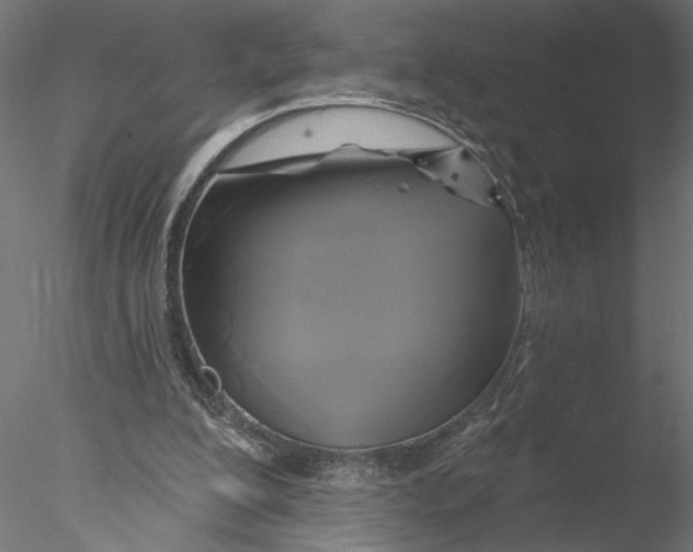 X0000076380200200611031638