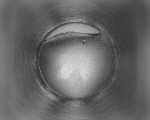 X0000076380201200611031638