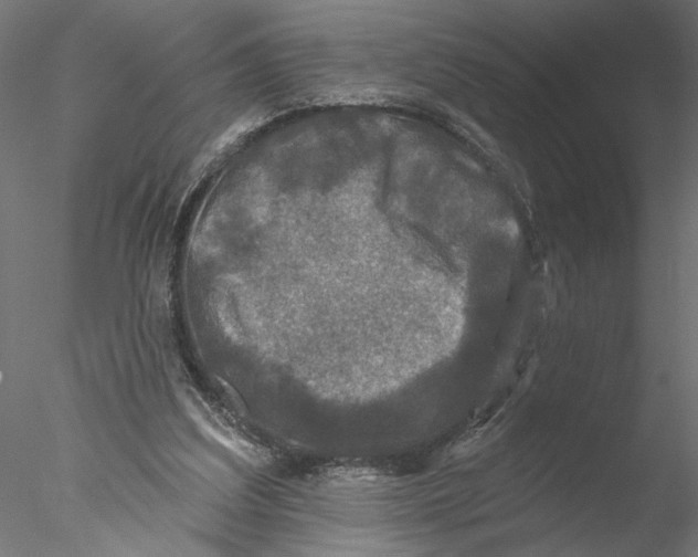 X0000076380203200611031638