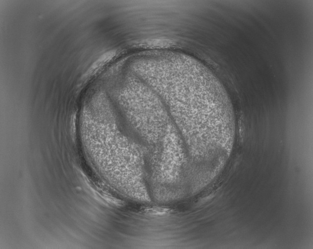 X0000076380206200611031638