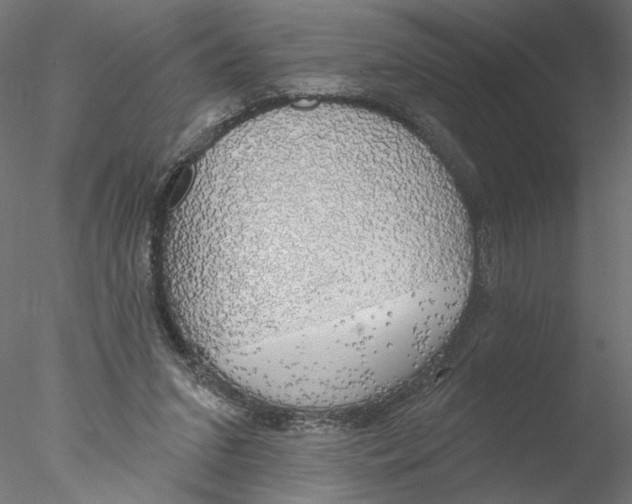 X0000076380207200611031638