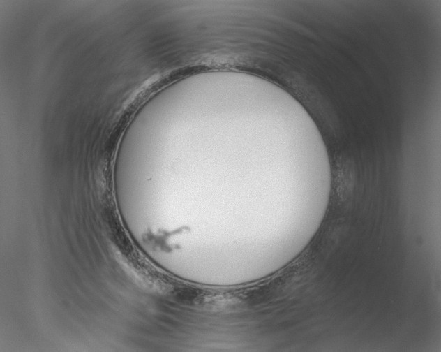 X0000076380208200611031638