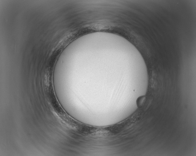 X0000076380210200611031638