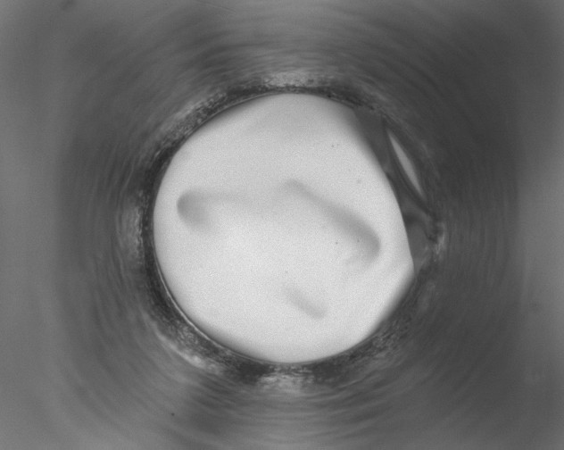 X0000076380211200611031638