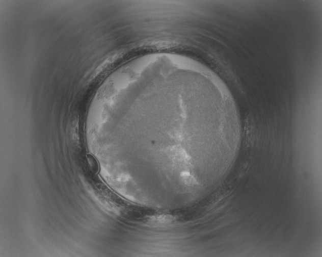 X0000076380212200611031638