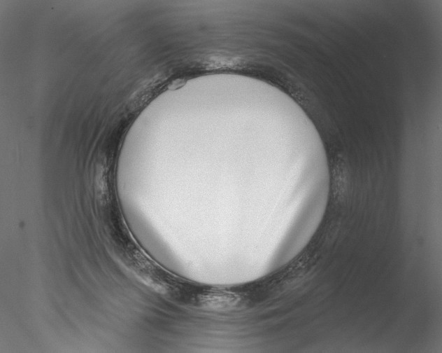 X0000076380215200611031638