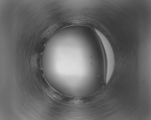 X0000076380217200611031638