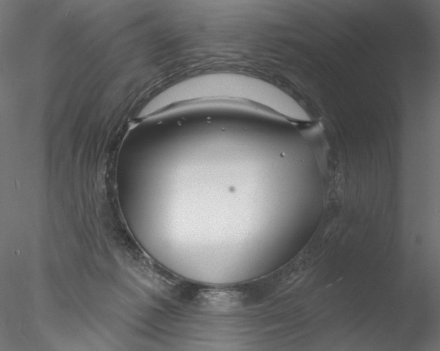 X0000076380221200611031638