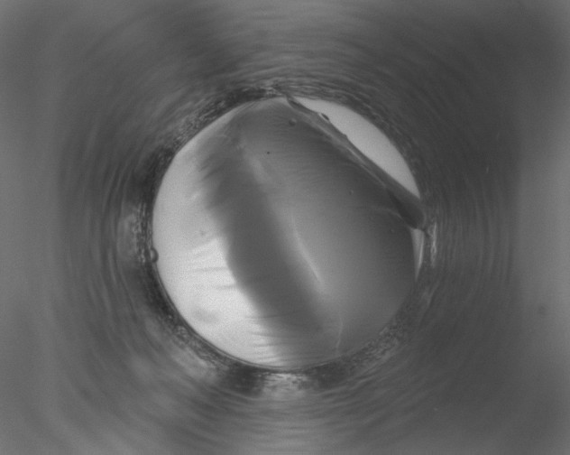 X0000076380222200611031638