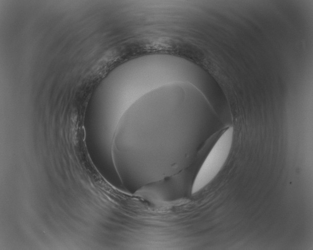 X0000076380223200611031638