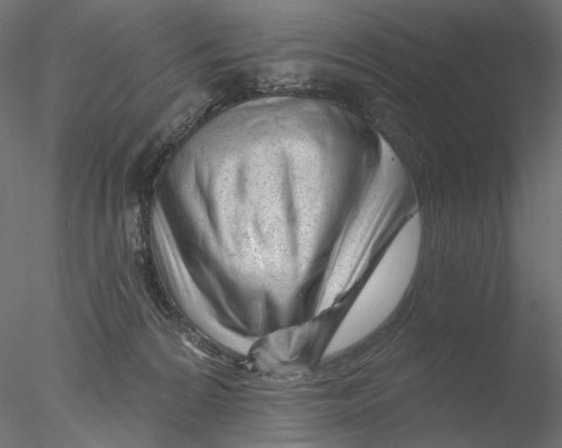 X0000076380224200611031638