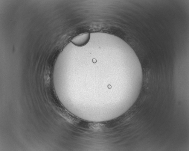 X0000076380226200611031637