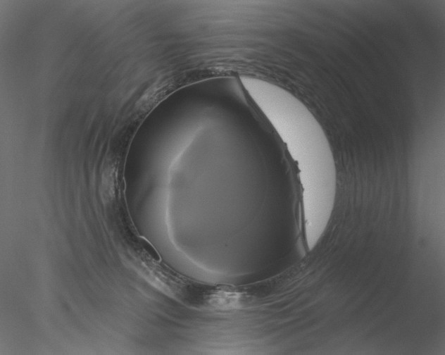 X0000076380227200611031637