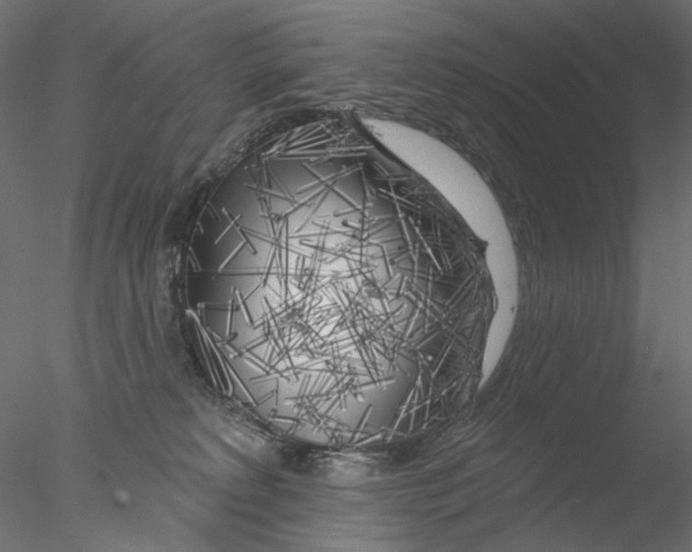 X0000076380229200611031637