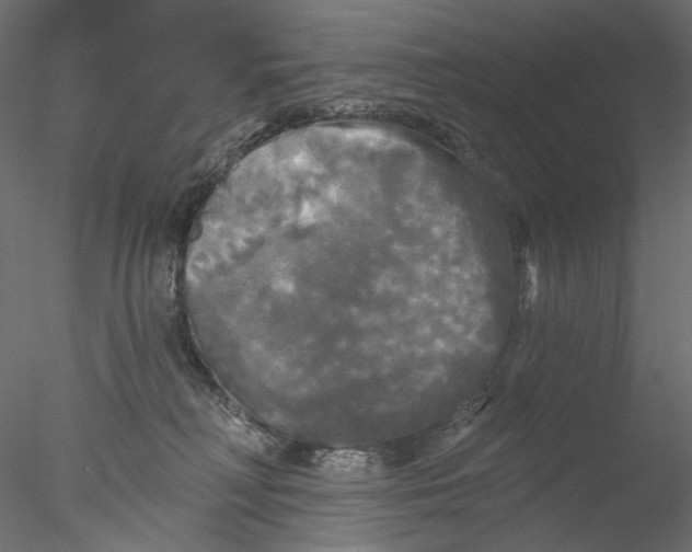 X0000076380230200611031637