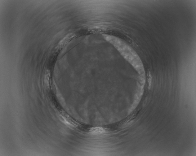 X0000076380231200611031637