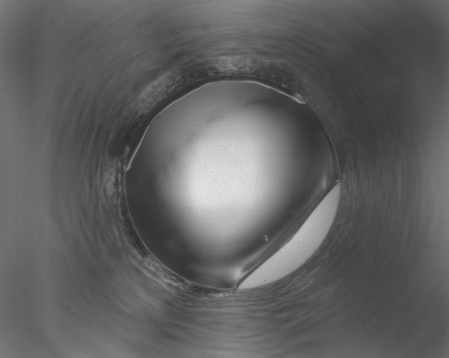 X0000076380233200611031637