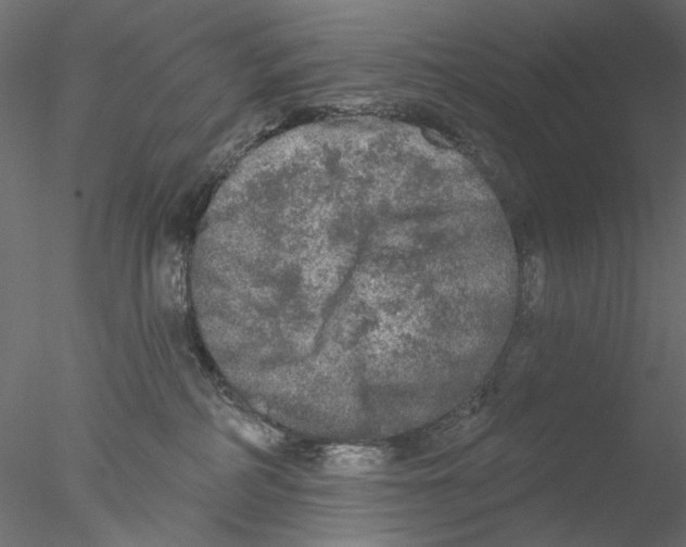 X0000076380234200611031637