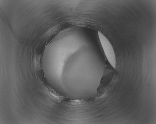 X0000076380239200611031637